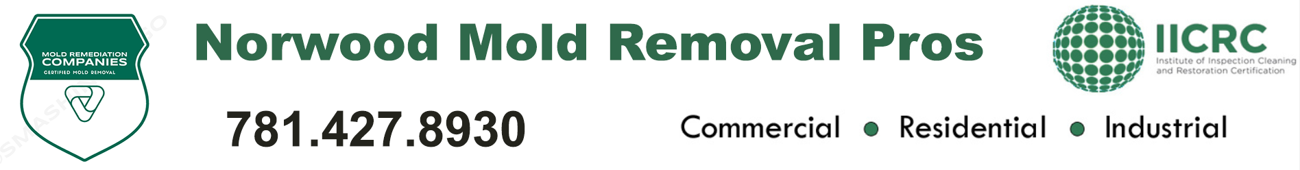 Norwood Mold Removal Pros