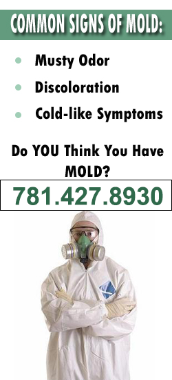 Norwood Mold Remediation Contractor